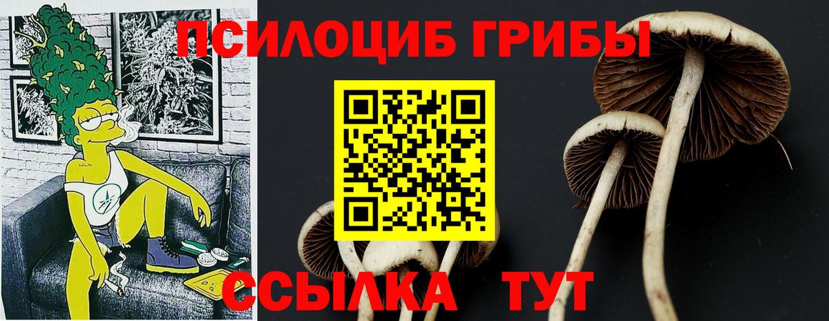 Псилоцибиновые грибы MAGIC MUSHROOMS Качканар
