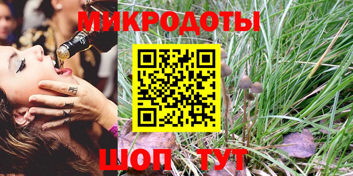 Псилоцибиновые грибы Magic Shrooms  Вход с VPN  Качканар 